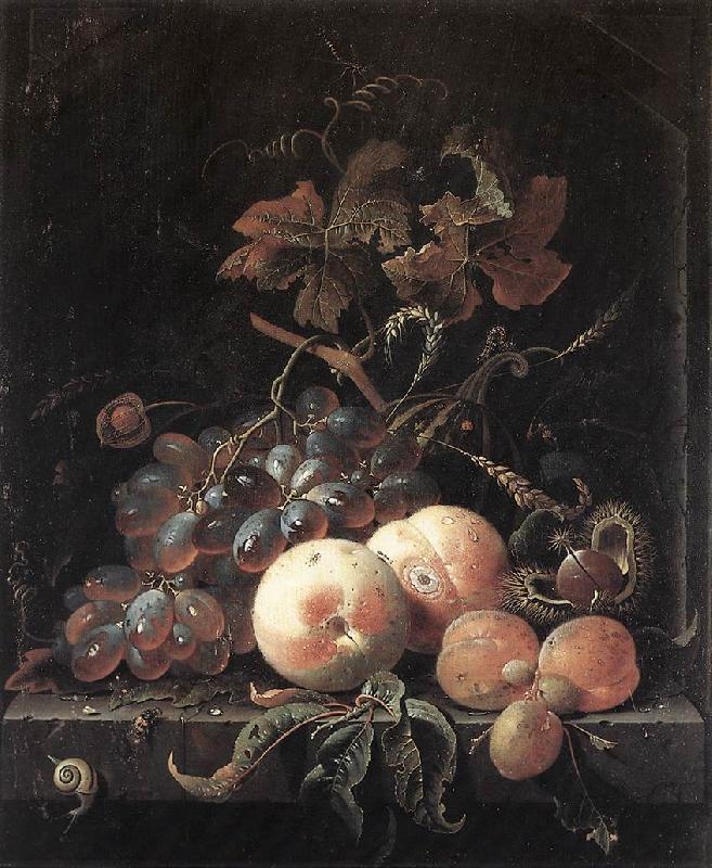  Still-Life with Fruits sg
